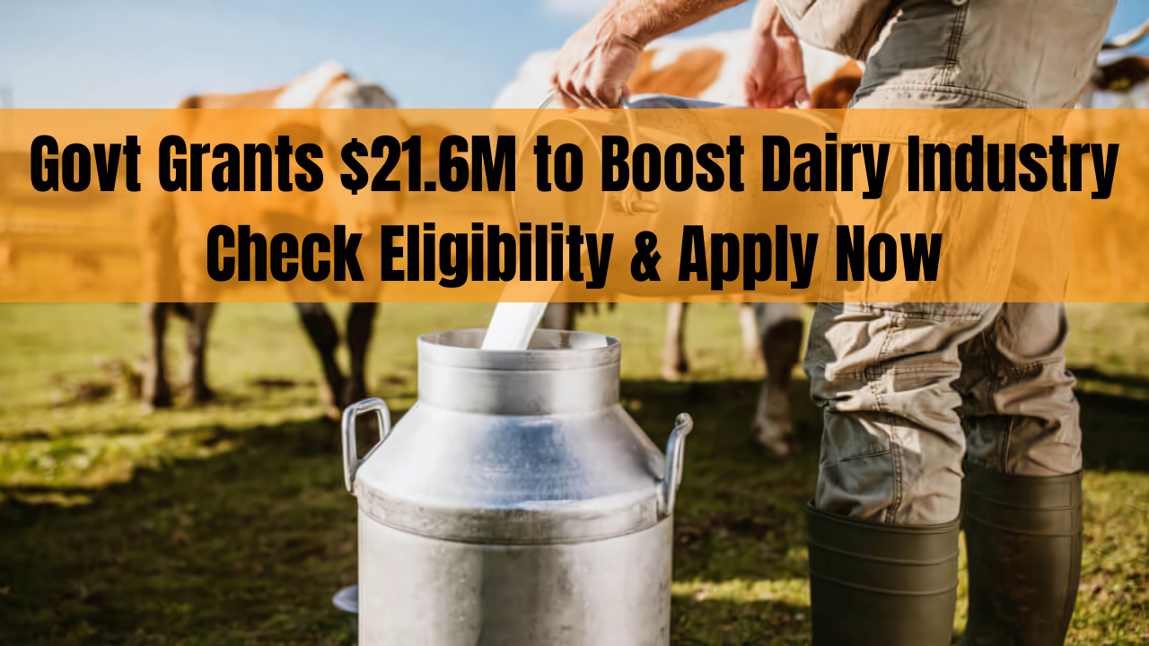 Govt Grants $21.6M to Boost Dairy Industry
