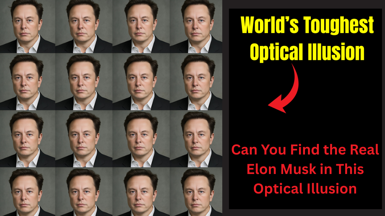 Optical Illusion
