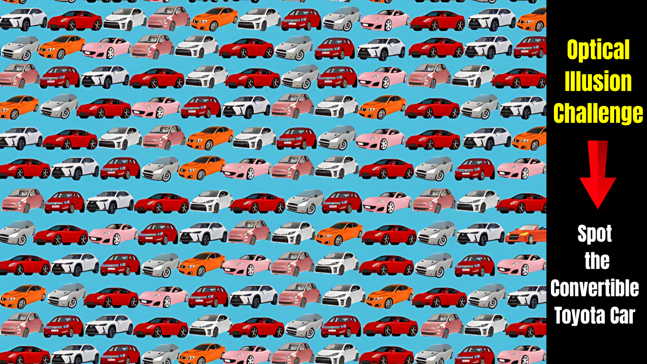 Optical Illusion Challenge
