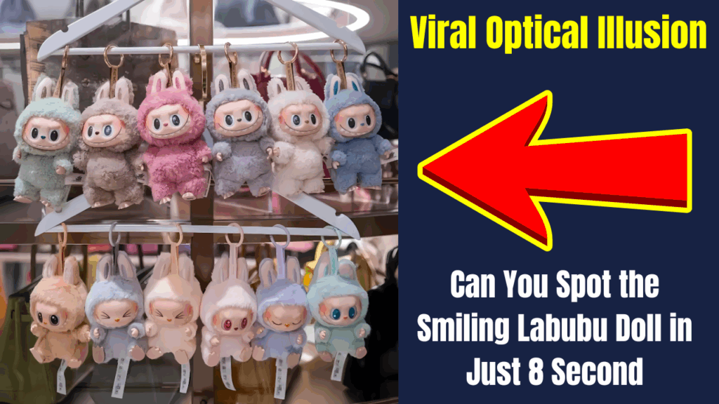 Viral Optical Illusion