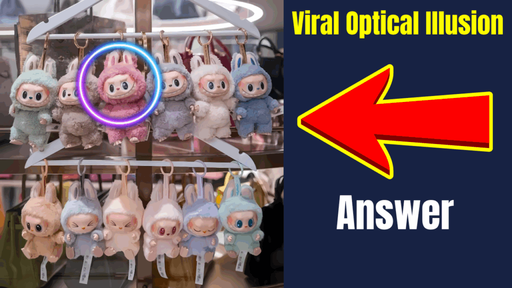 Can You Spot the Smiling Labubu Doll in Just 8 Second