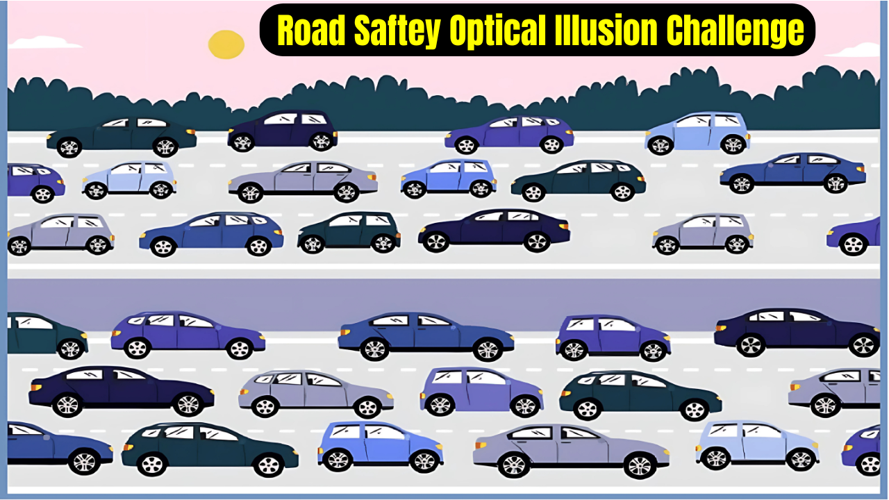 Road Saftey Optical Illusion Challenge